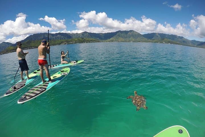 Custom Oahu Adventure Day with Mahina Hawaii: Surf, Hike, and Snorkel Across the Island photo 4
