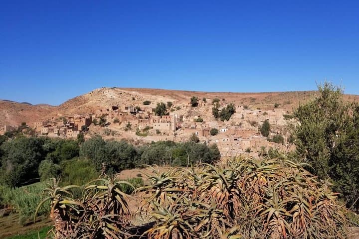 Ourika Valley Day Trip from Marrakech — Waterfalls, Berber Villages & Argan Cooperatives photo 3