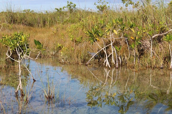Private Sian Ka'an Muyil Lazy River Tour: Guided Mangrove & Muyil Boat Experience photo 3