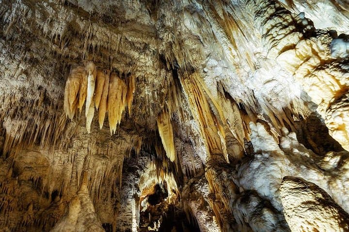 Hobbiton & Waitomo Caves Small-Group Tour from Auckland — Day Trip with Lunch photo 6