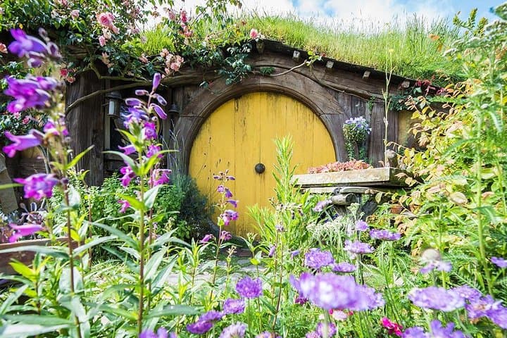 Hobbiton and Te Puia Day Tour from Auckland: Hobbit Holes, Geysers & Māori Culture photo 6