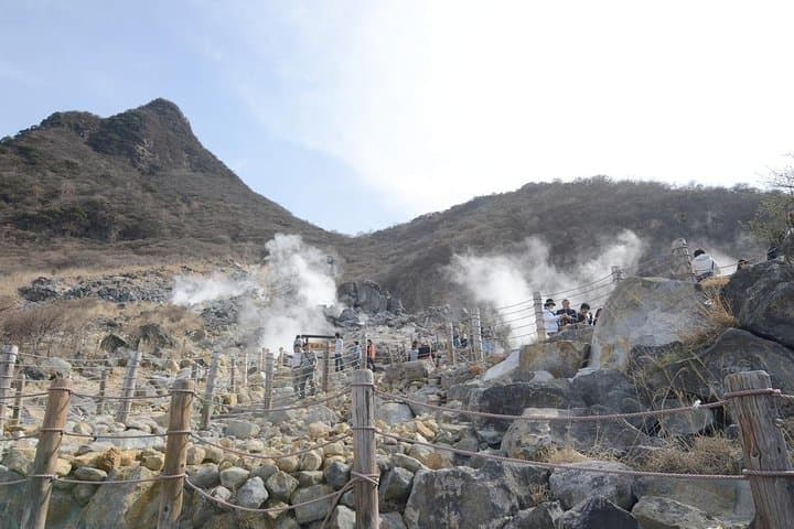 Hakone Full-Day Private Tour from Tokyo — Owakudani, Lake Ashi & Art Museums photo 3