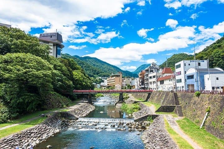 Hakone Full-Day Private Tour from Tokyo — Owakudani, Lake Ashi & Art Museums photo 5