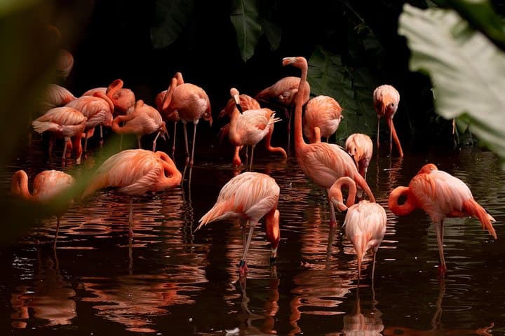 Jurong Bird Park: A Bird Photography Workshop for Beginners and Enthusiasts