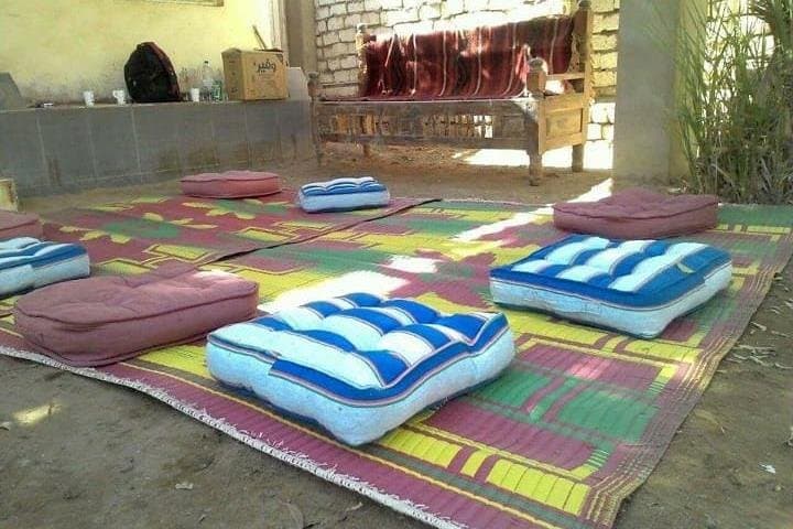 Dahshur Day: Pyramids, Donkeys & Rural Egyptian Life photo 4