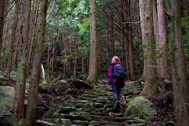 Kumano Kodo Full-Day Private Pilgrimage with Licensed Guide photo 2