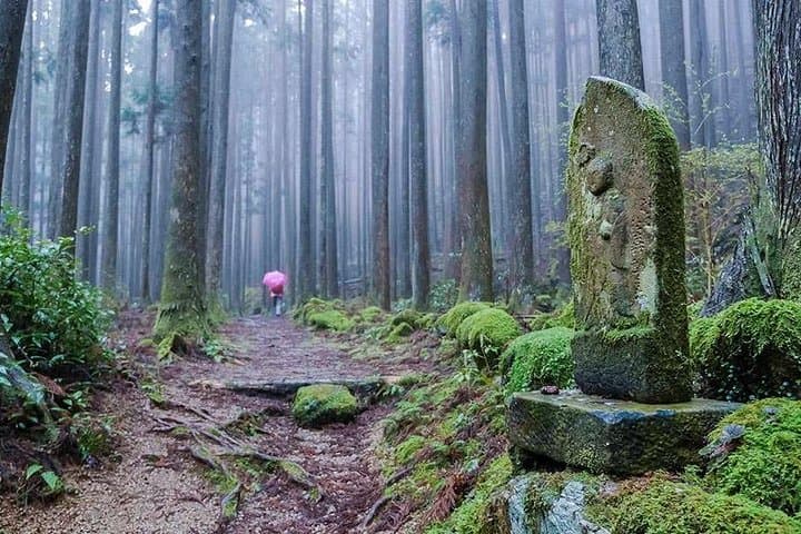 Kumano Kodo Full-Day Private Pilgrimage with Licensed Guide photo 3