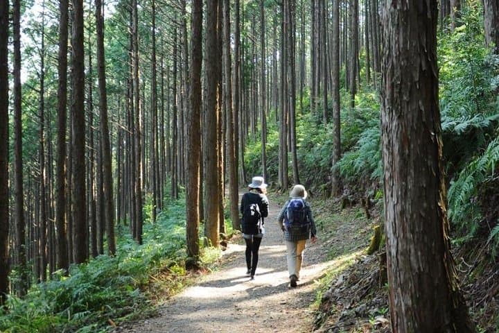 Kumano Kodo Full-Day Private Pilgrimage with Licensed Guide photo 6