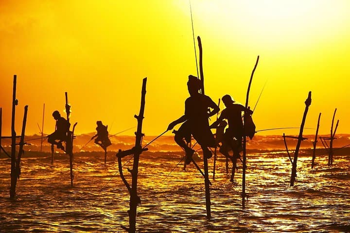 Galle Day Trip & Stilt Fishermen: Turtle Hatchery, Jungle Beach & Rumassala Views photo 4