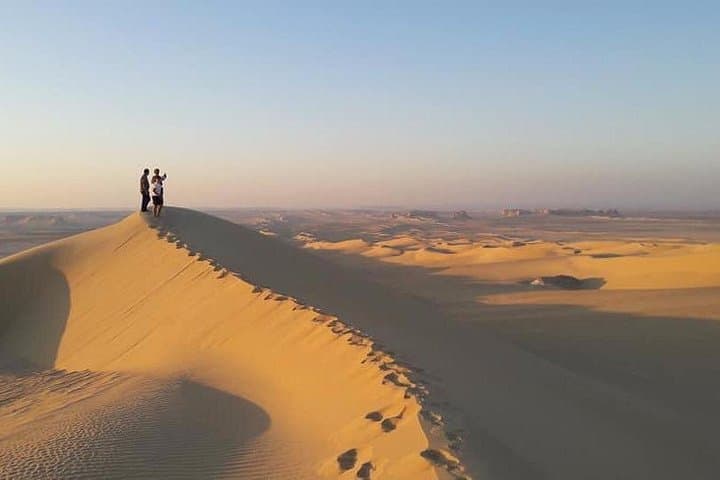 Day Trip to Jebel Qatrani Petrified Forest & Qasr el-Sagha from Cairo photo 3