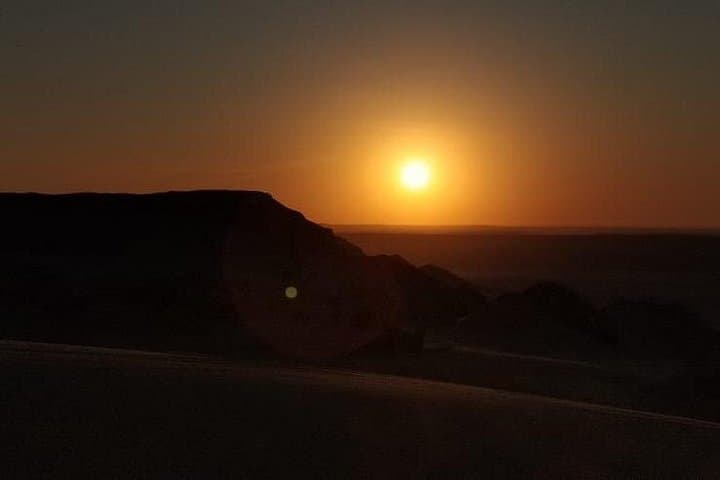 Day Trip to Jebel Qatrani Petrified Forest & Qasr el-Sagha from Cairo photo 4