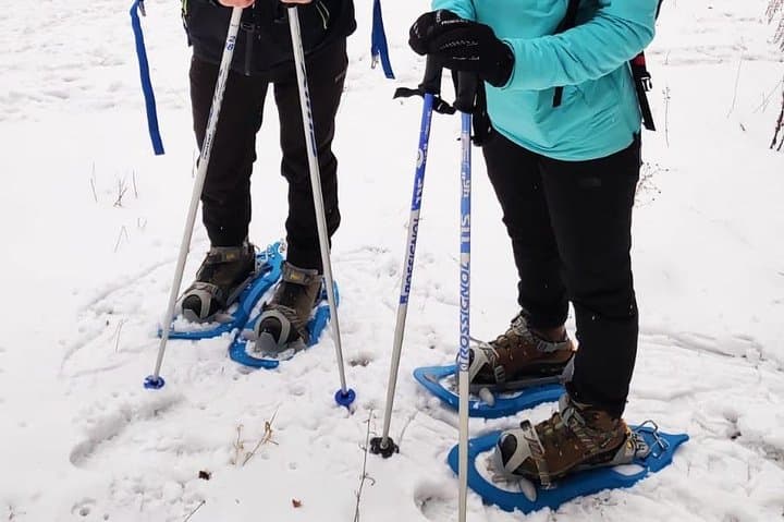 Poiana Brașov Snowshoe Tour: Guided Winter Walks Near Brașov photo 2