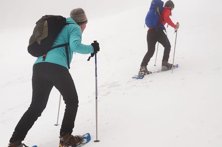 Poiana Brașov Snowshoe Tour: Guided Winter Walks Near Brașov photo 4