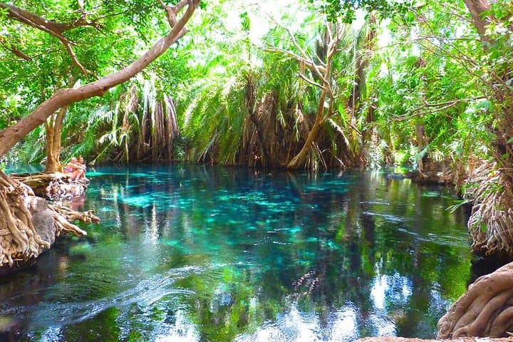 Kikuletwa Chemka Hot Springs: Day Swim & Cultural Stop from Arusha photo 2