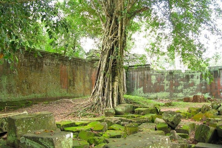 Private Angkor Wat Day Tour with English-Speaking Driver (Self-Guided Temple Walk) photo 5