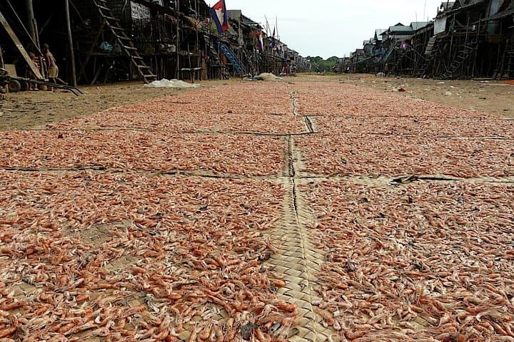 Kampong Phluk & Tonle Sap: Half-Day Boat Tour from Siem Reap photo 5