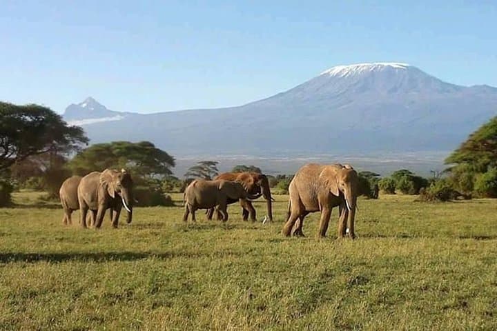 7-Day Great Migration Budget Safari — Masai Mara, Nakuru, Naivasha & Amboseli