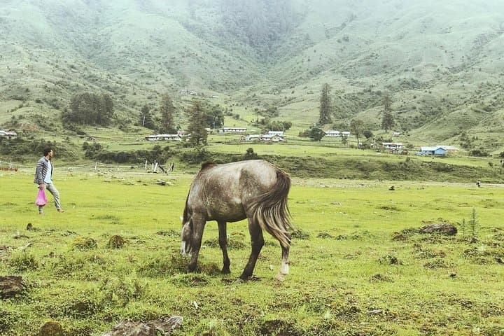 Mechuka Valley Adventure Road Trip from Guwahati: Menchukha Trek, Culture & Homestays photo 2