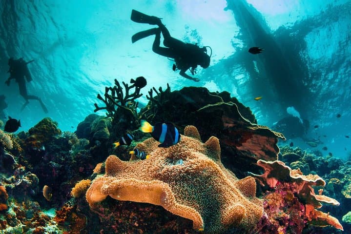 Discover Scuba Diving in Cebu: Introductory Mactan Scuba Experience