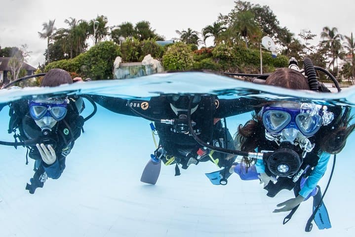 Discover Scuba Diving in Cebu: Introductory Mactan Scuba Experience photo 2