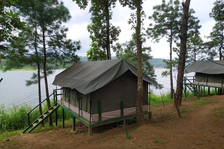 Full-Day Cherrapunjee (Sohra) Tour: Waterfalls, Caves & Umiam Lake Lunch