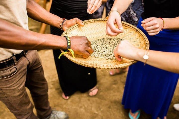 Arusha Coffee Tour & Waterfall Hike: Tengeru Farm Experience