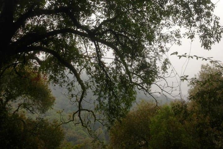 Cloud Forest Hiking in San Lorenzo: A Yungas Morning Near Salta photo 3