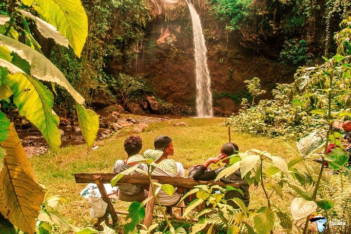 Arusha Coffee Tour & Waterfall Hike: Tengeru Farm Experience photo 2