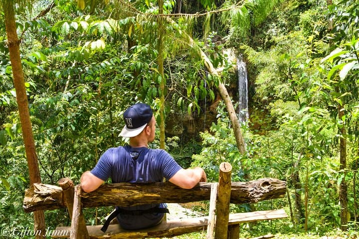 Arusha Coffee Tour & Waterfall Hike: Tengeru Farm Experience photo 3