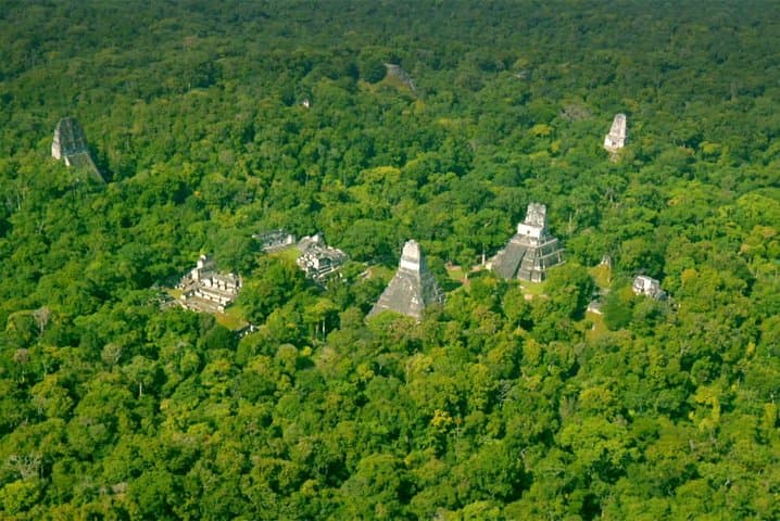 Tikal Private Tour from Flores — All-Inclusive Day Trip to Ancient Maya Ruins photo 2