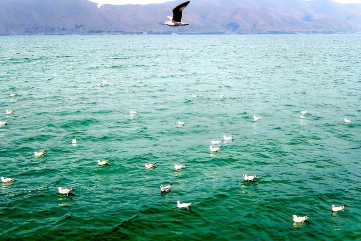 Tsaghkadzor and Lake Sevan Day Tour — Ropeway, Kecharis Monastery & Sevanavank photo 6