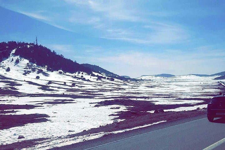 Middle Atlas Day Trip from Fez: Ifrane, Azrou & Berber Village Life photo 3