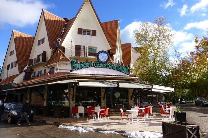 Middle Atlas Day Trip from Fez: Ifrane, Azrou & Berber Village Life photo 4