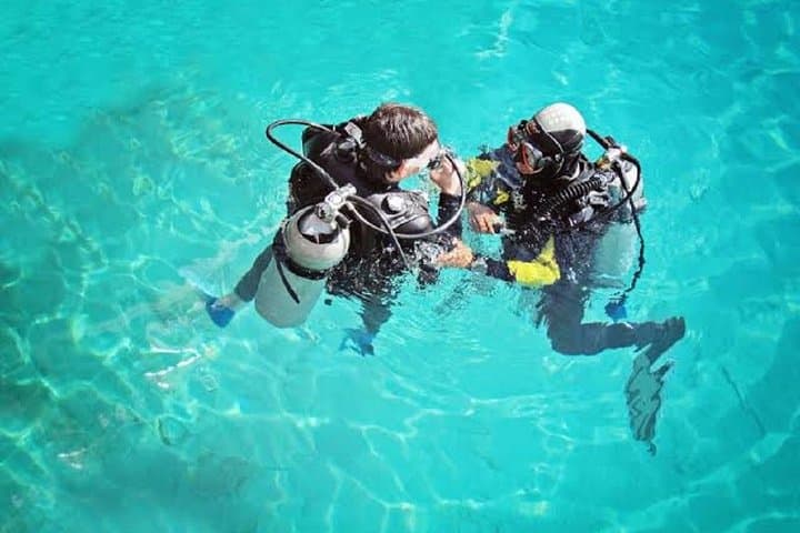 Red Sea Day Scuba Trip from Hurghada — Two Dives, Turtles & Coral Reefs photo 6