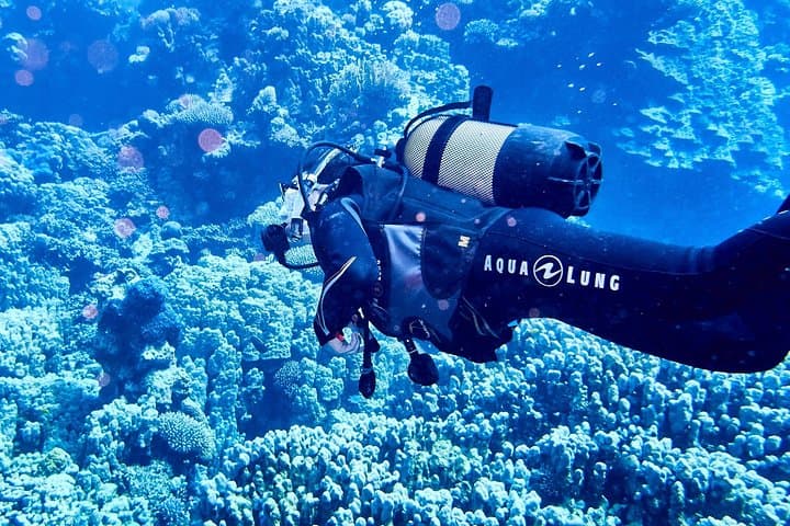 Red Sea Full-Day Scuba Diving Adventure from Hurghada — 2 Dive Sites & Lunch photo 3