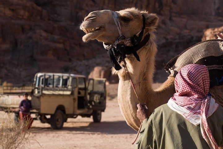 Full-Day Wadi Rum Jeep Tour: Red Dunes, Sandboarding & Bedouin Tea photo 6
