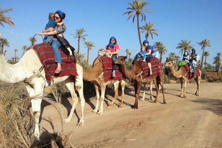 Palmeraie Camel Ride Marrakech — 90-Minute Camel Trek & Mint Tea