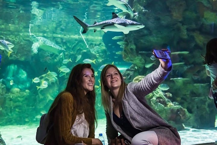 SEA LIFE Brighton — Victorian Aquarium Tickets & Visitor Guide
