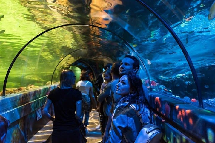 SEA LIFE Brighton — Victorian Aquarium Tickets & Visitor Guide photo 2