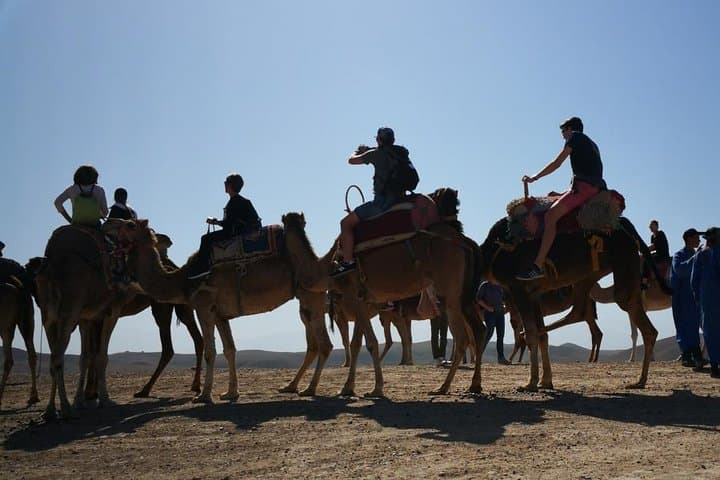 Sunset Camel Ride in the Agafay Desert — 3-Hour Dromedary Experience from Marrakech photo 2