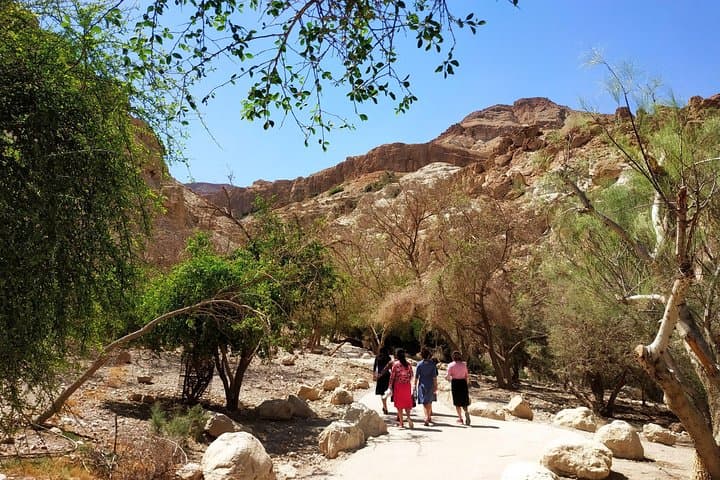 Exploring Masada, Ein Gedi & the Dead Sea: Ultimate 12-Hour Judea Desert 4x4 Adventure photo 4