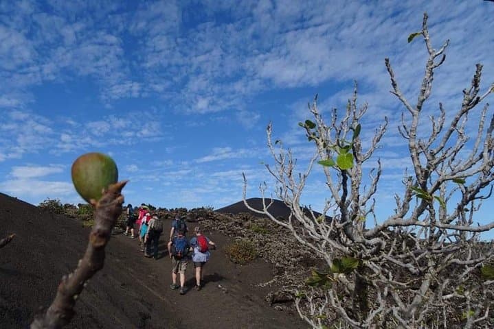Timanfaya Volcano Trek: 7km Trek Across Lanzarote’s Lava Fields photo 4