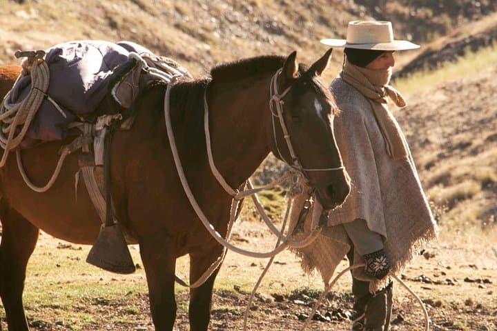 Andes Horseback Riding from Santiago: Private Mountain Ride with Picnic & Wine photo 5