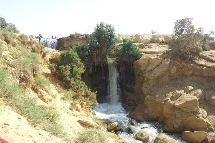 El Fayoum Day Trip: Wadi El Rayan & Wadi El Hitan (Valley of the Whales) photo 2