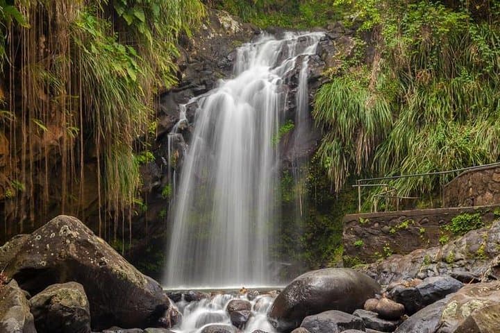 Guide to Waterfall Hikes Around St. George's, Grenada: Swim, Scramble, and Sample Local Fruit