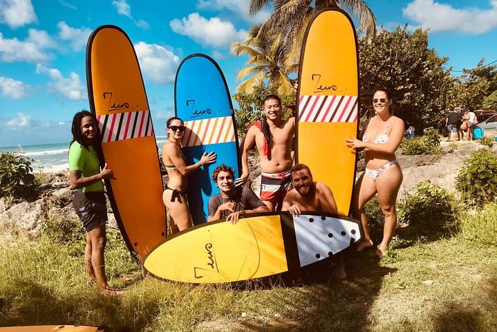 Learn to Surf Guadeloupe: 90-Minute Lessons at Basse-Terre's Best Breaks photo 2