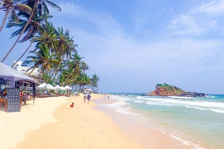 Sri Lanka 7-Night Private Tour: Cultural Triangle, Hill Country & Golden Beaches photo 6