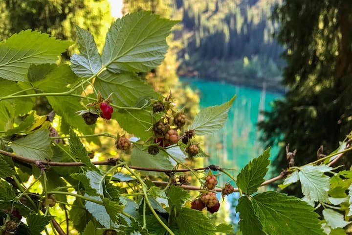 Kolsay and Kaindy Lakes: Two-Day Hiking Tour from Almaty