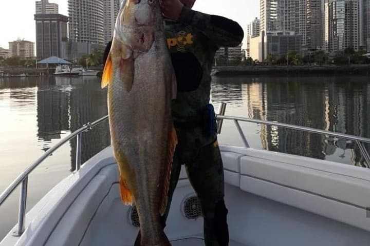 6-Hour High-Sea Fishing in the Gulf of Panama — Charter from Panama City photo 4