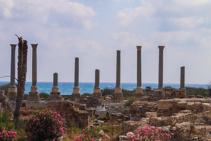 Sidon, Tyre & Maghdouche Day Tour — Crusader Castle to Roman Hippodrome on Lebanon's Coast photo 4